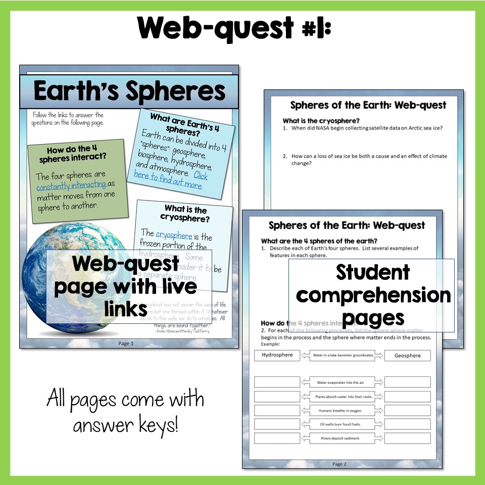 Food Web & Ecology Webquests - Image 3