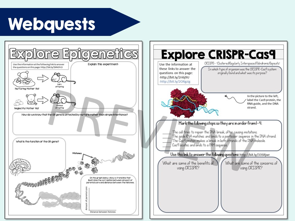 Biotechnology & CRISPR Webquests - Image 2