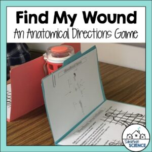 FREE Anatomical Directions Activity