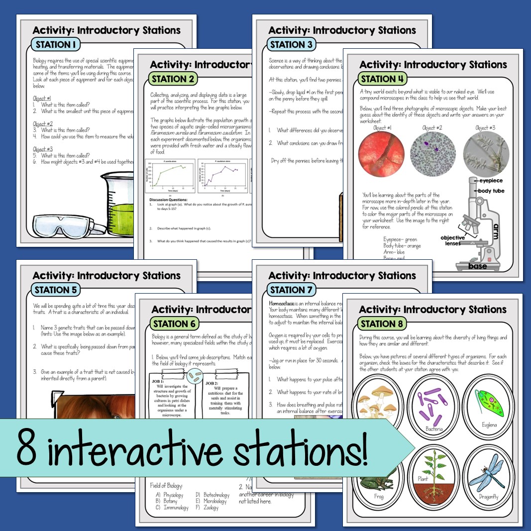 Intro to Biology First Day Stations - Image 3