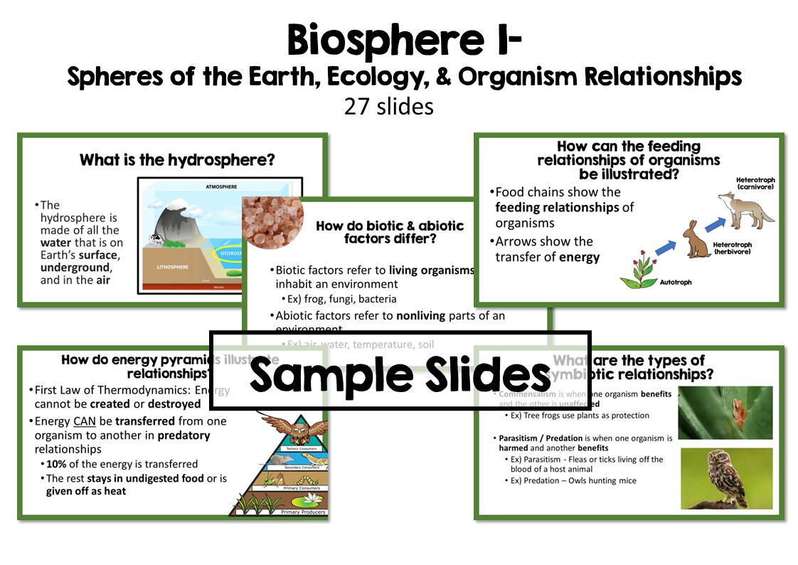 Environmental Science PowerPoint Bundle - Image 4