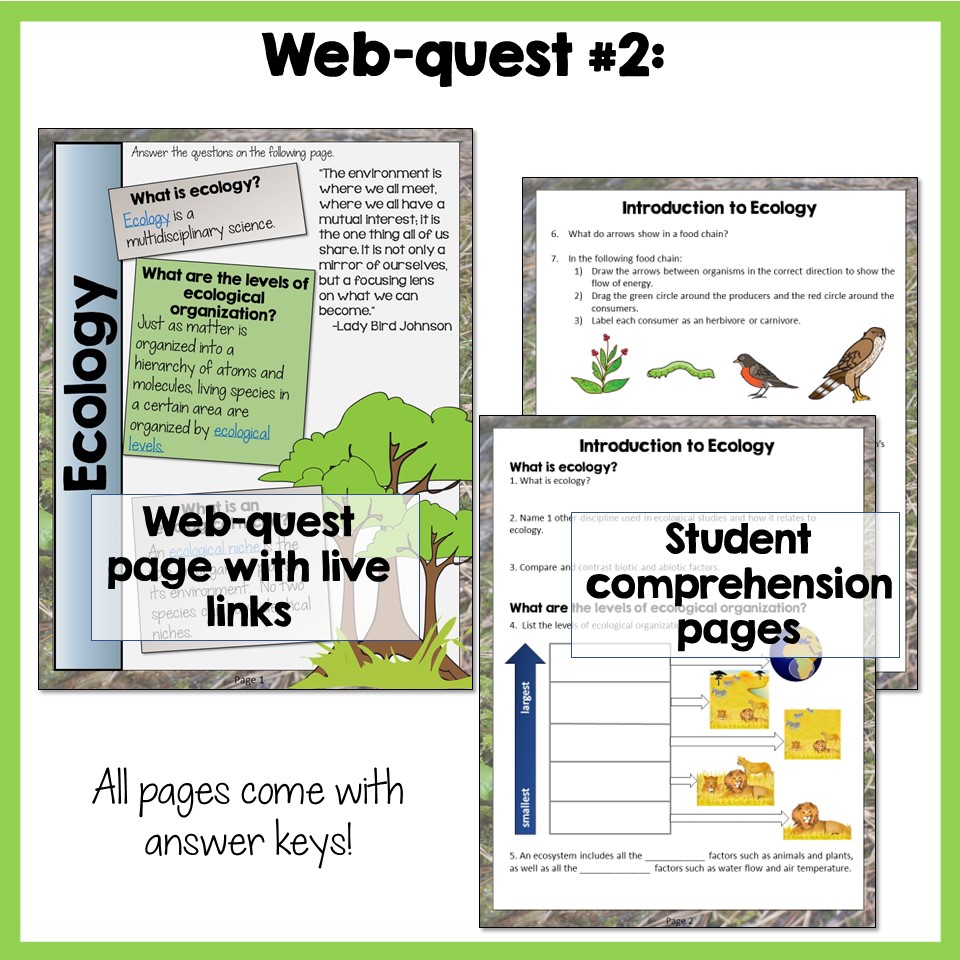 Food Web & Ecology Webquests - Image 4