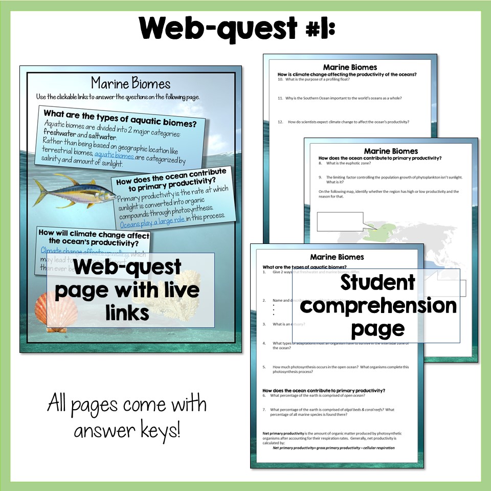 Marine Biomes Webquests - Image 3