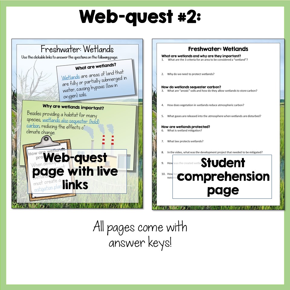 Marine Biomes Webquests - Image 4