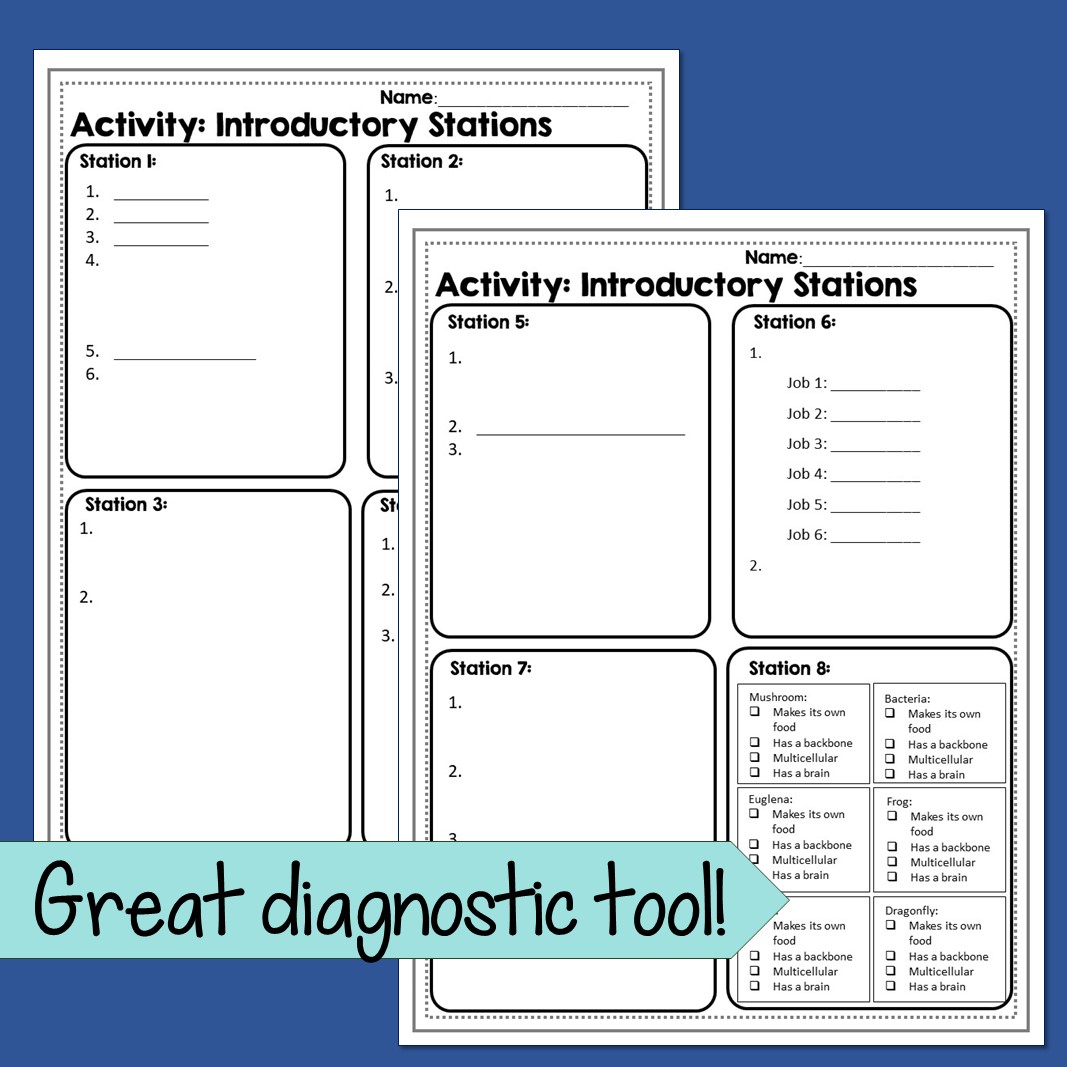 Intro to Biology First Day Stations - Image 4