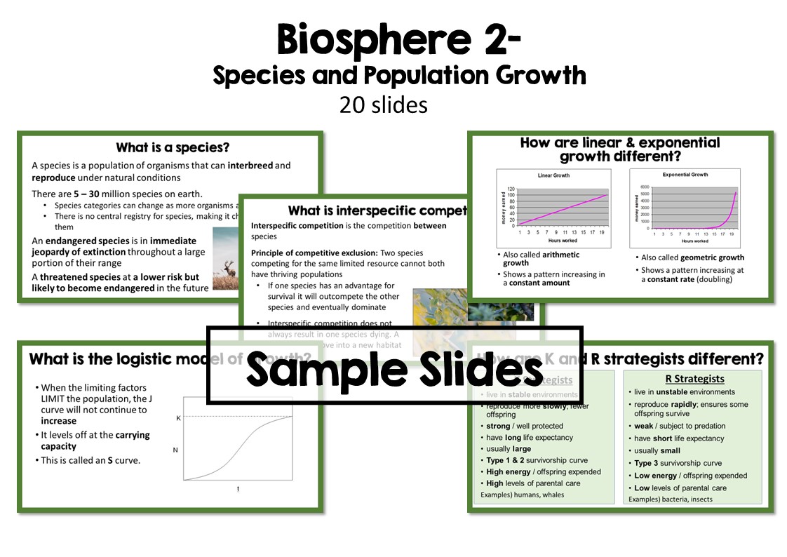 Environmental Science PowerPoint Bundle - Image 5