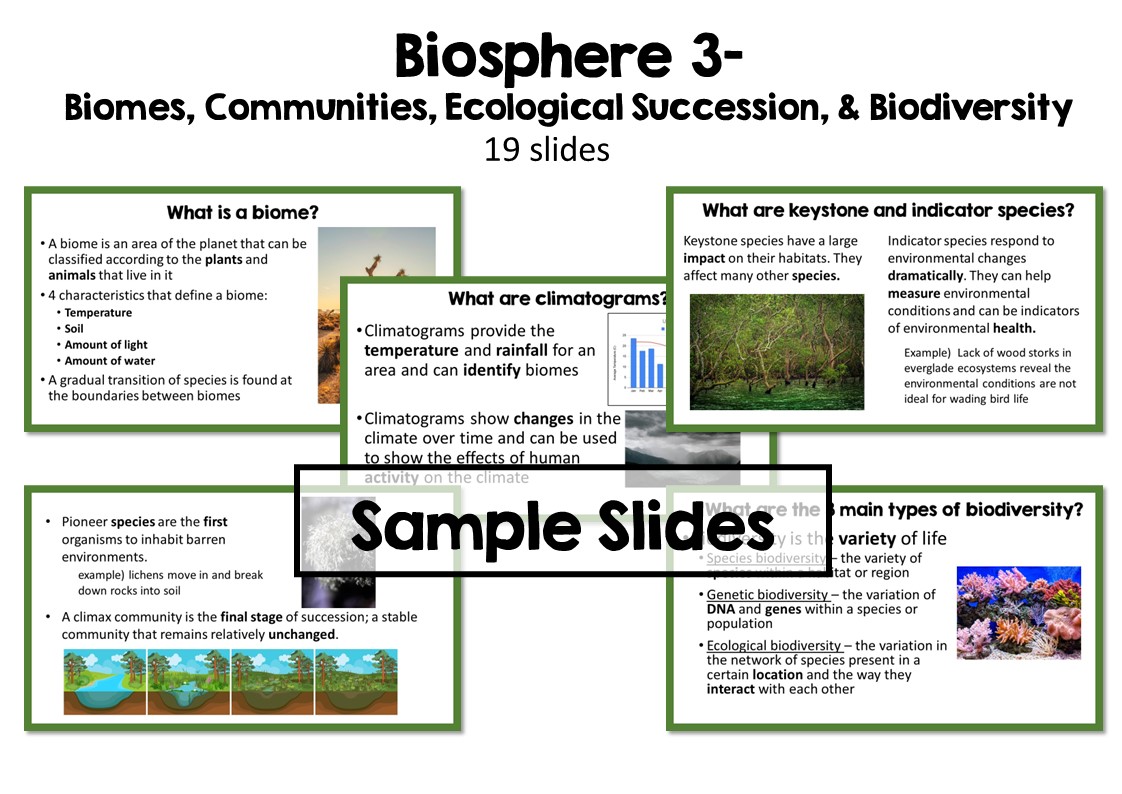 Environmental Science PowerPoint Bundle - Image 6