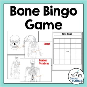 Bingo- Bones Game
