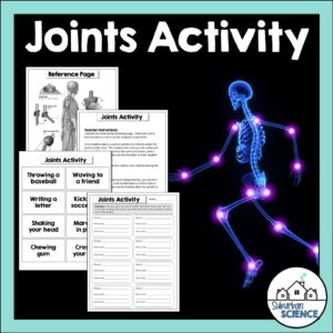 Types of Joints Activity