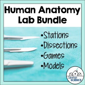 Human Anatomy and Physiology Lab Activity Bundle