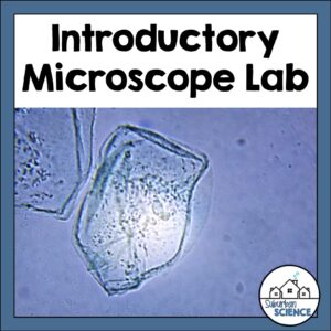 Introductory Microscope Lab