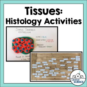 Histology Activities