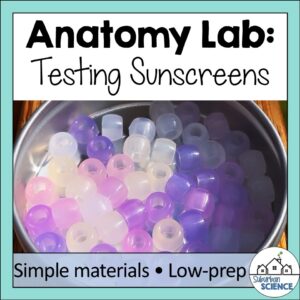 Sunscreen Lab- Integumentary System Activity