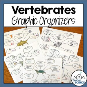 Vertebrate Animals Doodle Notes