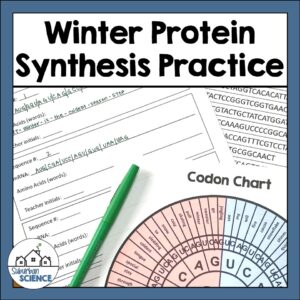 Winter Protein Synthesis Activity